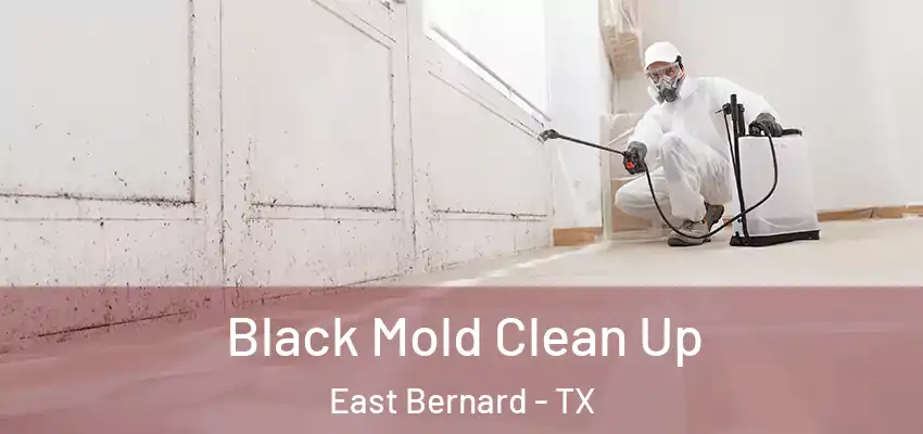  Black Mold Clean Up East Bernard - TX