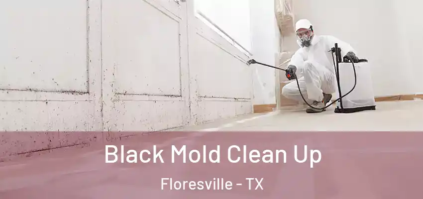  Black Mold Clean Up Floresville - TX
