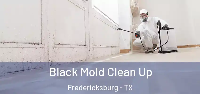  Black Mold Clean Up Fredericksburg - TX