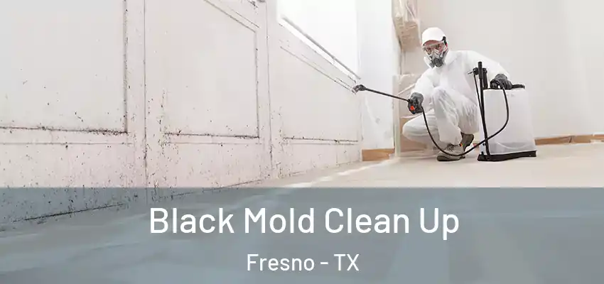  Black Mold Clean Up Fresno - TX