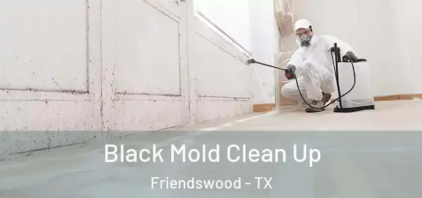 Black Mold Clean Up Friendswood - TX