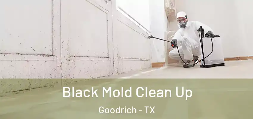 Black Mold Clean Up Goodrich - TX
