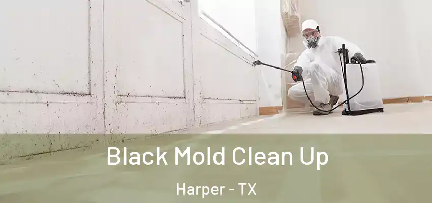 Black Mold Clean Up Harper - TX
