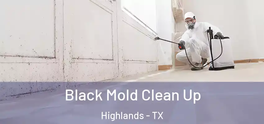  Black Mold Clean Up Highlands - TX