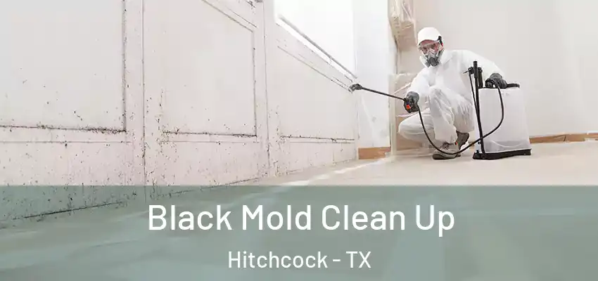 Black Mold Clean Up Hitchcock - TX
