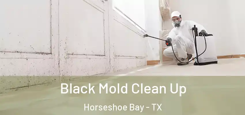 Black Mold Clean Up Horseshoe Bay - TX