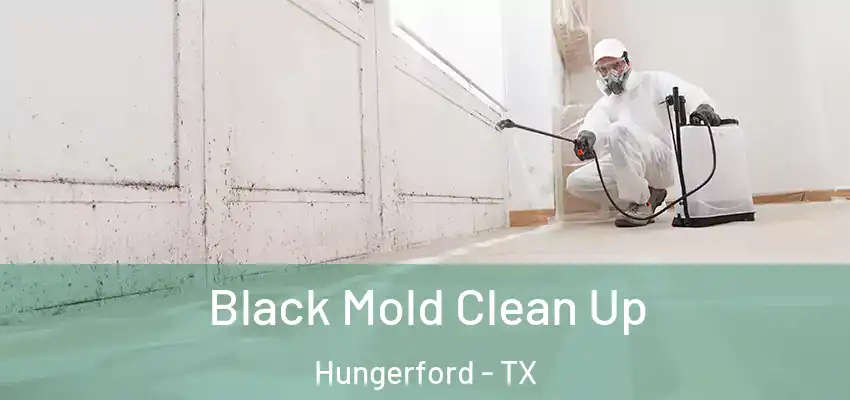Black Mold Clean Up Hungerford - TX
