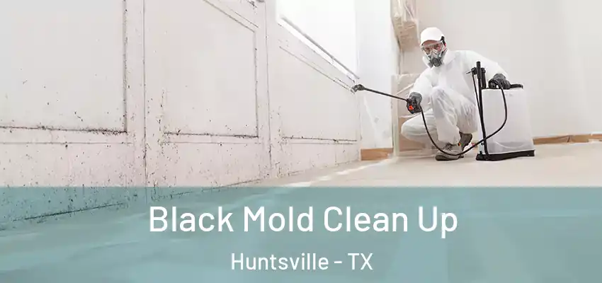 Black Mold Clean Up Huntsville - TX