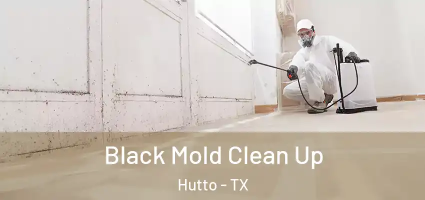  Black Mold Clean Up Hutto - TX