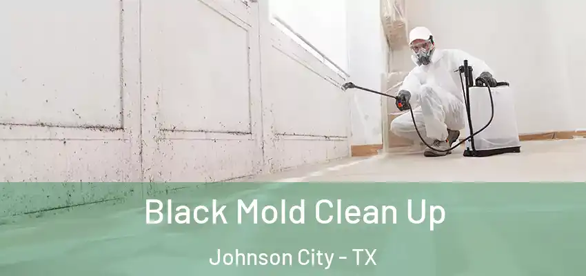  Black Mold Clean Up Johnson City - TX