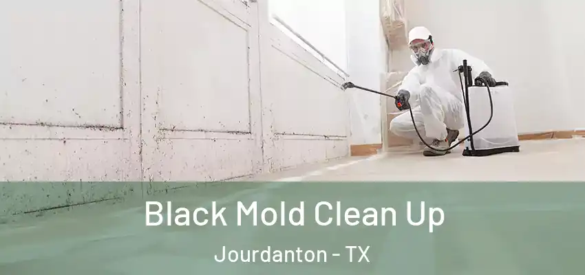  Black Mold Clean Up Jourdanton - TX
