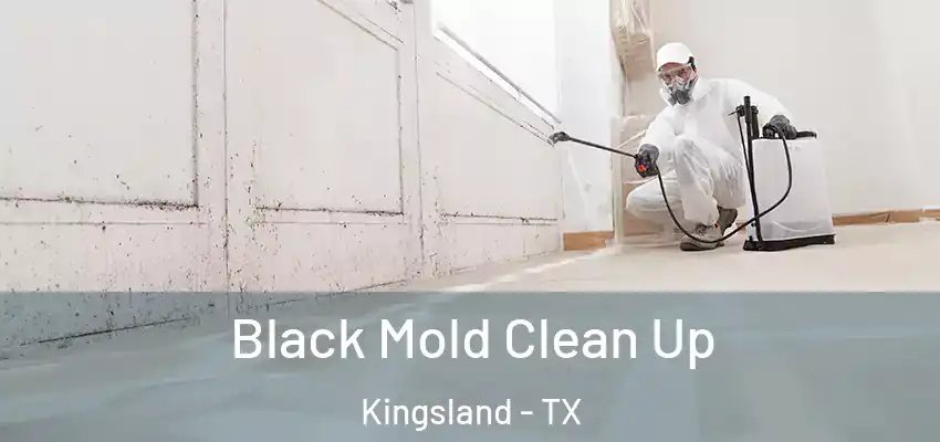 Black Mold Clean Up Kingsland - TX