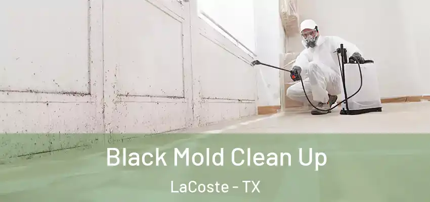  Black Mold Clean Up LaCoste - TX
