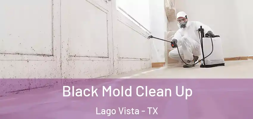 Black Mold Clean Up Lago Vista - TX