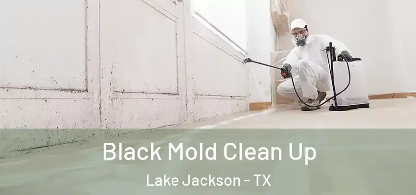  Black Mold Clean Up Lake Jackson - TX