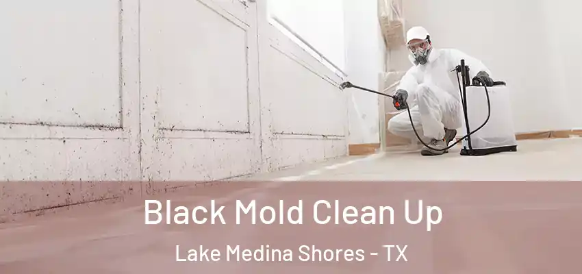  Black Mold Clean Up Lake Medina Shores - TX