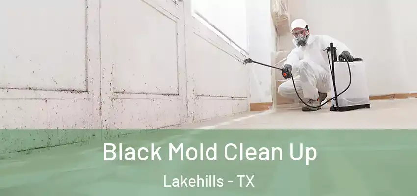 Black Mold Clean Up Lakehills - TX