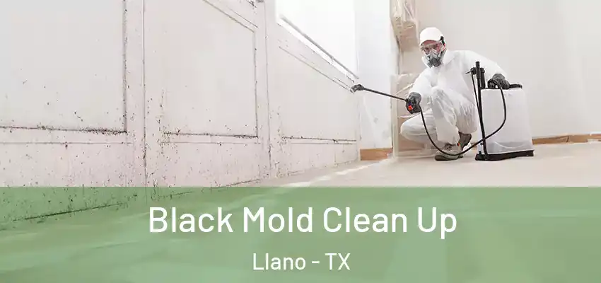 Black Mold Clean Up Llano - TX