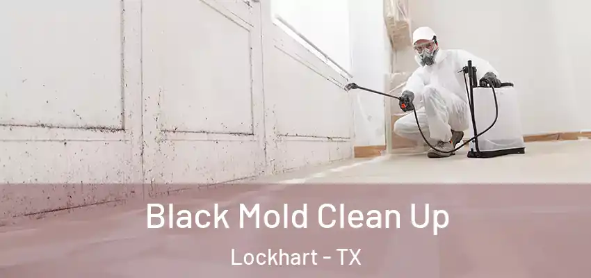  Black Mold Clean Up Lockhart - TX