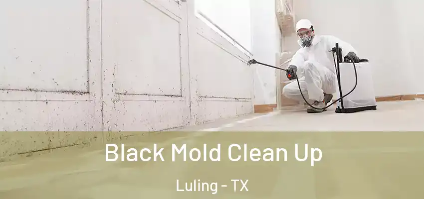  Black Mold Clean Up Luling - TX