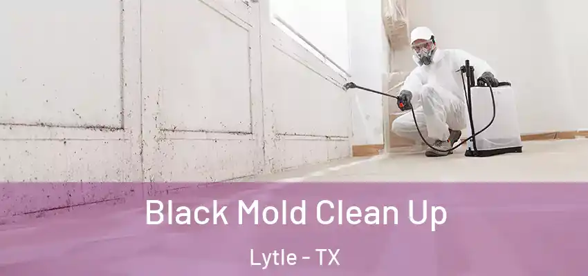  Black Mold Clean Up Lytle - TX