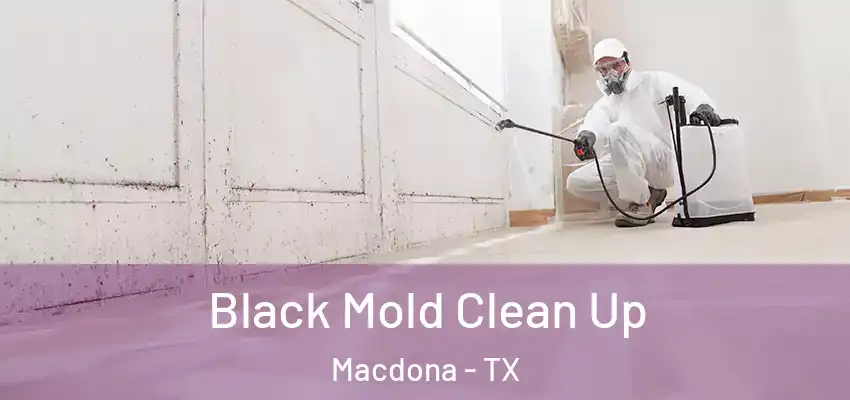 Black Mold Clean Up Macdona - TX