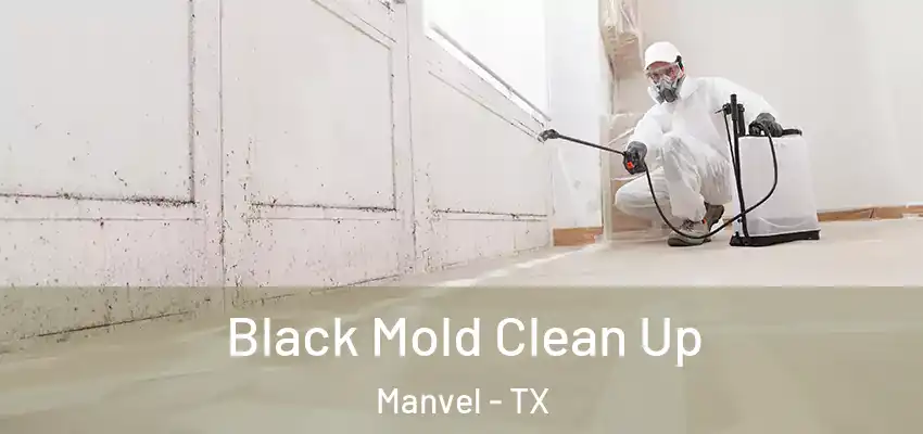 Black Mold Clean Up Manvel - TX