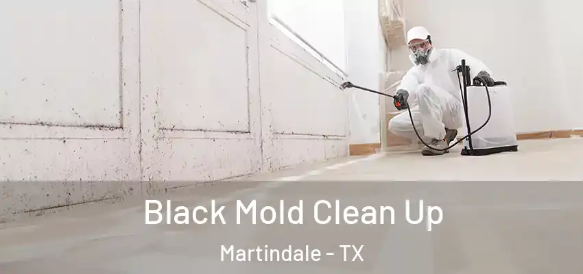  Black Mold Clean Up Martindale - TX