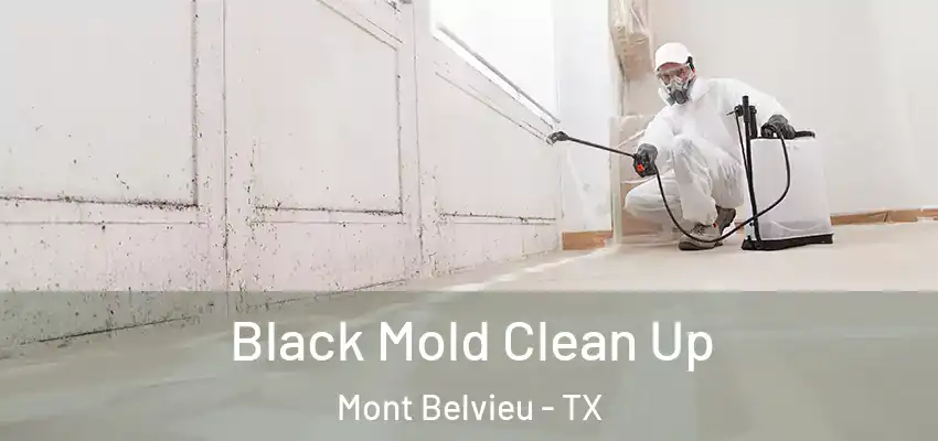 Black Mold Clean Up Mont Belvieu - TX