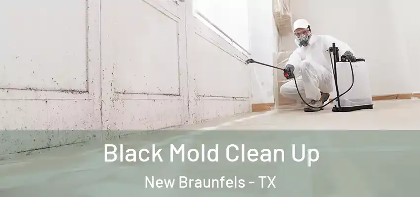Black Mold Clean Up New Braunfels - TX