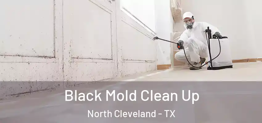 Black Mold Clean Up North Cleveland - TX