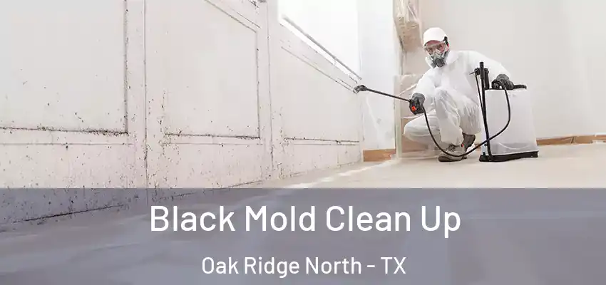  Black Mold Clean Up Oak Ridge North - TX