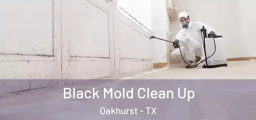 Black Mold Clean Up Oakhurst - TX