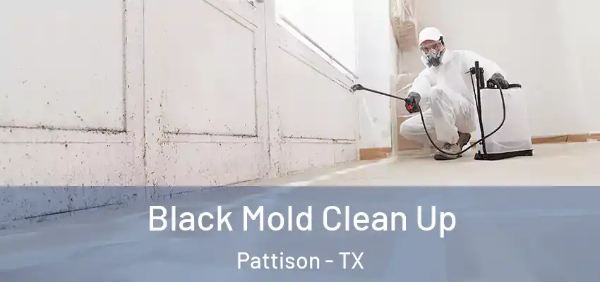 Black Mold Clean Up Pattison - TX
