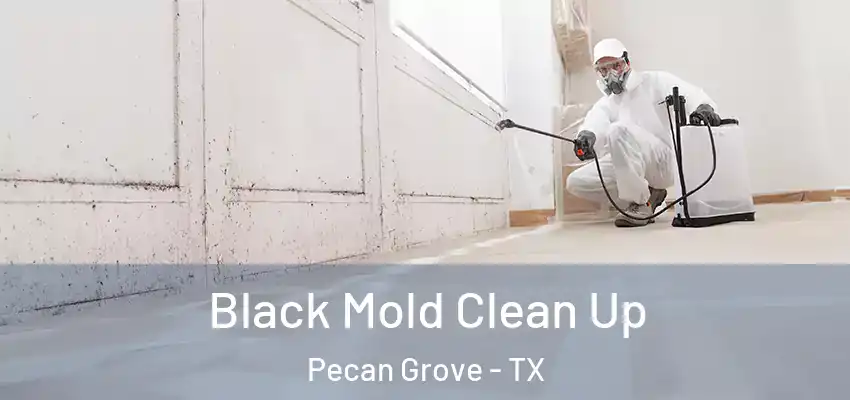  Black Mold Clean Up Pecan Grove - TX