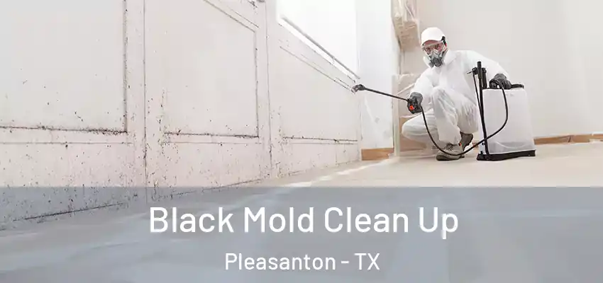  Black Mold Clean Up Pleasanton - TX