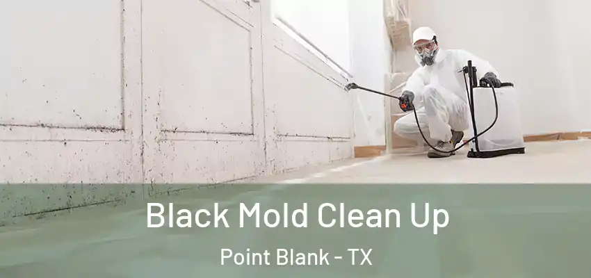 Black Mold Clean Up Point Blank - TX