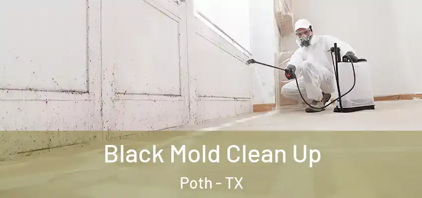  Black Mold Clean Up Poth - TX