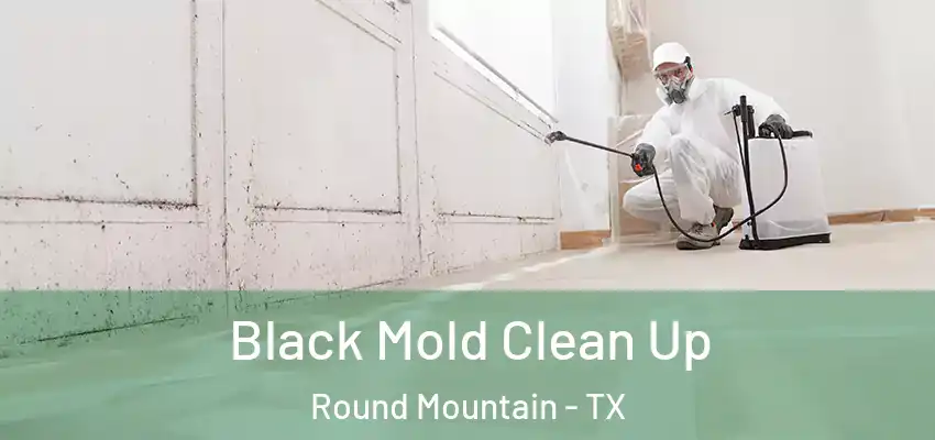  Black Mold Clean Up Round Mountain - TX