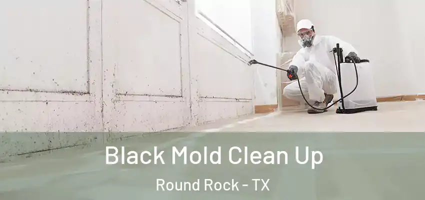  Black Mold Clean Up Round Rock - TX