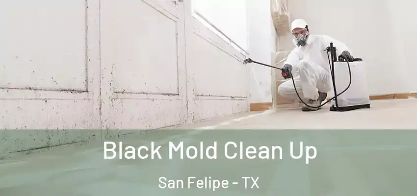 Black Mold Clean Up San Felipe - TX