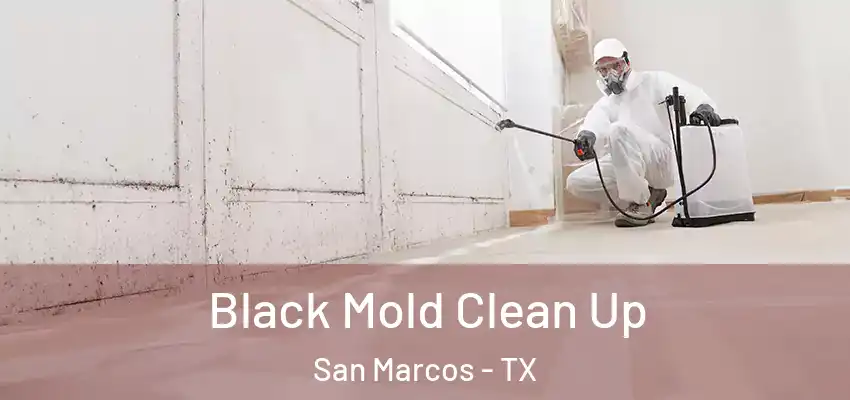  Black Mold Clean Up San Marcos - TX