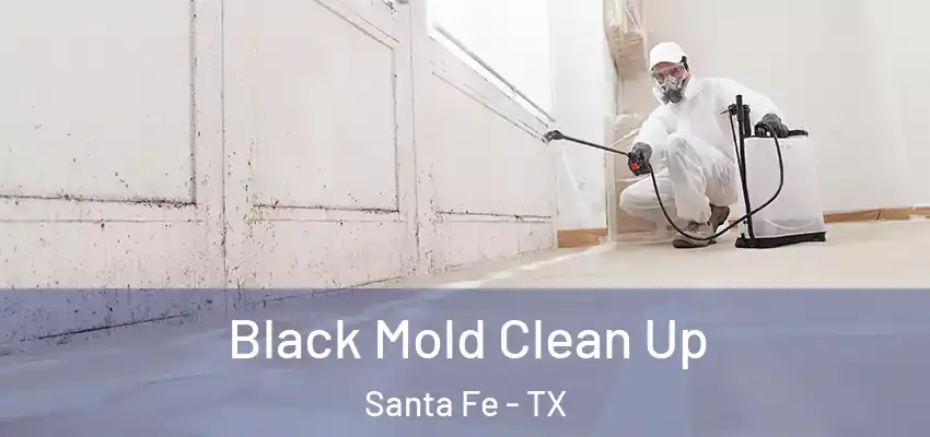 Black Mold Clean Up Santa Fe - TX