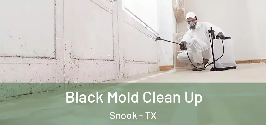 Black Mold Clean Up Snook - TX