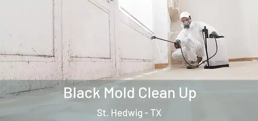 Black Mold Clean Up St. Hedwig - TX