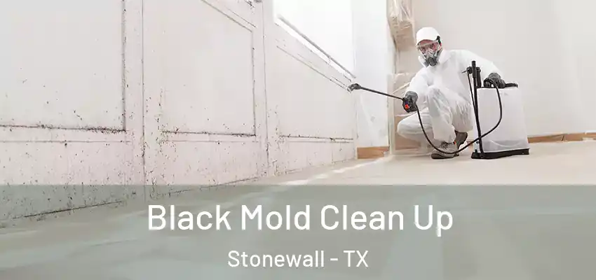  Black Mold Clean Up Stonewall - TX