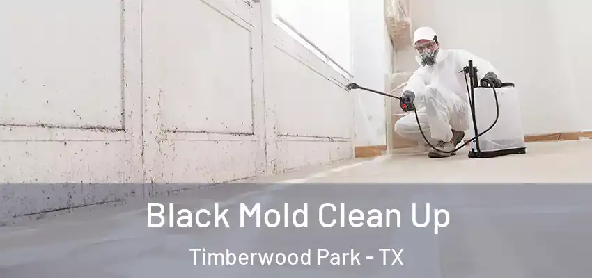Black Mold Clean Up Timberwood Park - TX