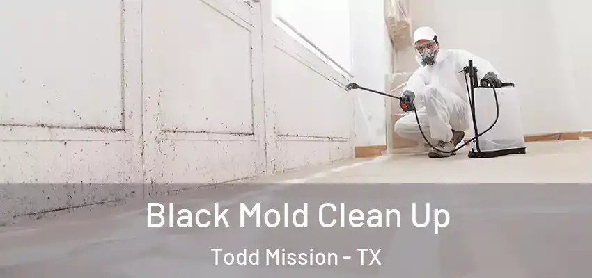  Black Mold Clean Up Todd Mission - TX