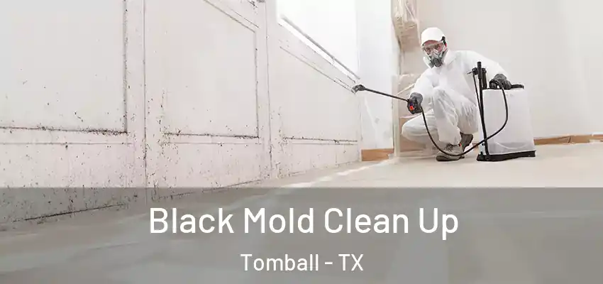 Black Mold Clean Up Tomball - TX