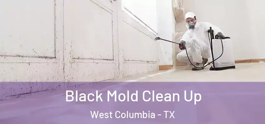Black Mold Clean Up West Columbia - TX